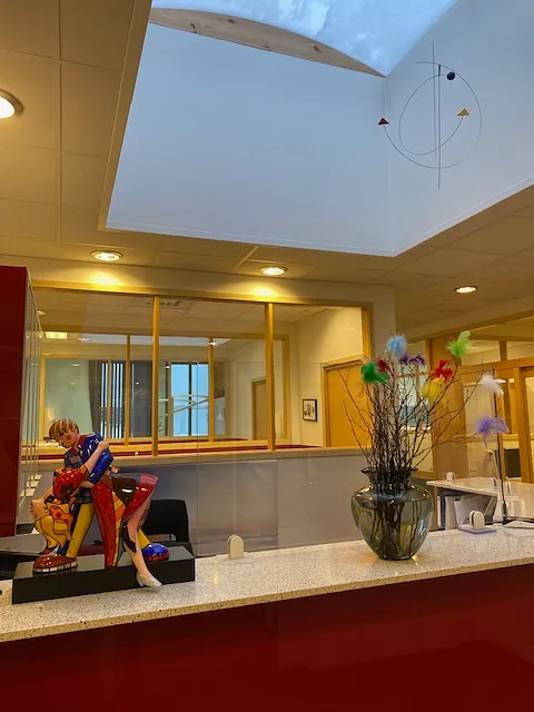 Kunstver henger fra åpning i taket med vindu over resepsjonen til tannlegekontoret